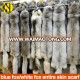 Animal fur neck cover from china whole wfashion and high hite fox skin scarf warm blue fox fur around the neck for women